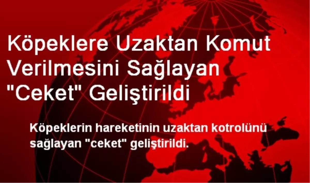 Köpeklere Uzaktan Komut Verilmesini Sağlayan "Ceket" Geliştirildi