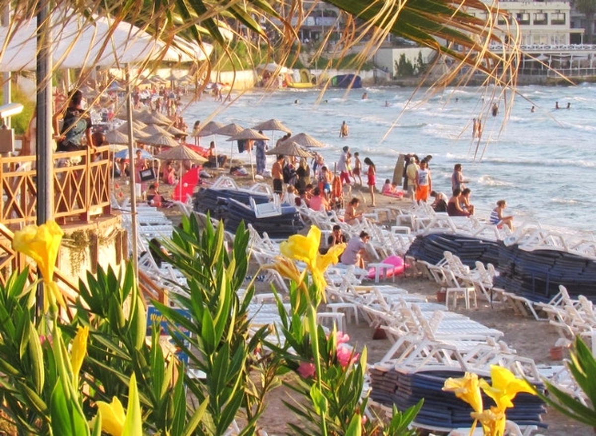 Kuşadası\'nda Caretta Caretta Yumurtalamasında Rekor Kırıldı