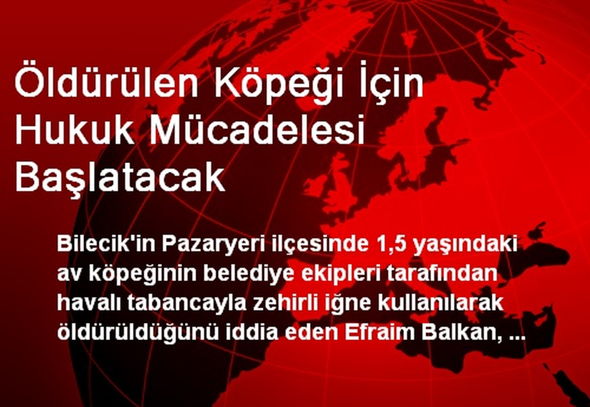 Öldürülen Köpeği İçin Hukuk Mücadelesi Başlatacak