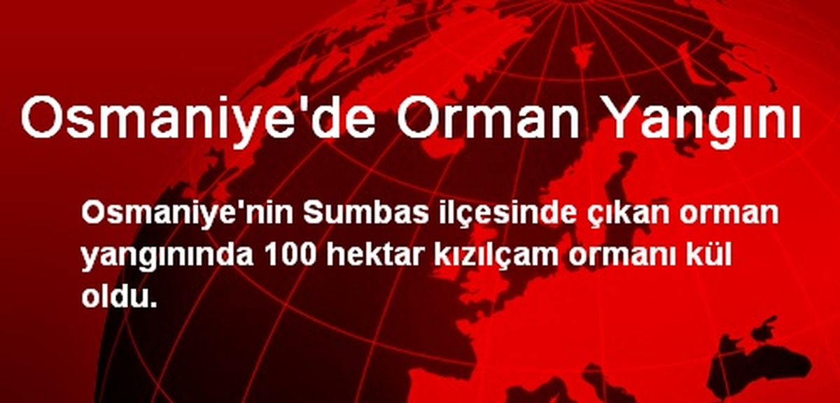 Osmaniye\'de Orman Yangını