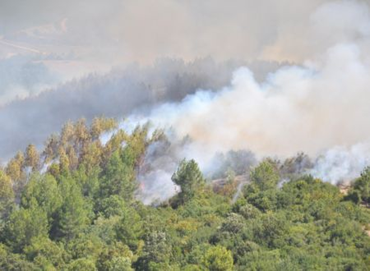 Osmaniye\'deki Orman Yangınları Söndürüldü