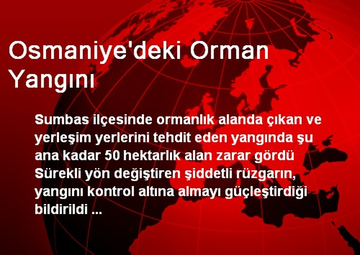 Osmaniye\'deki Orman Yangını