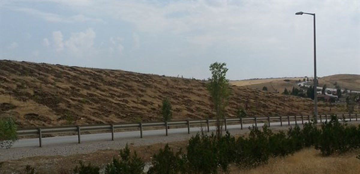 Ağaçlandırma Çalışmaları Devam Ediyor