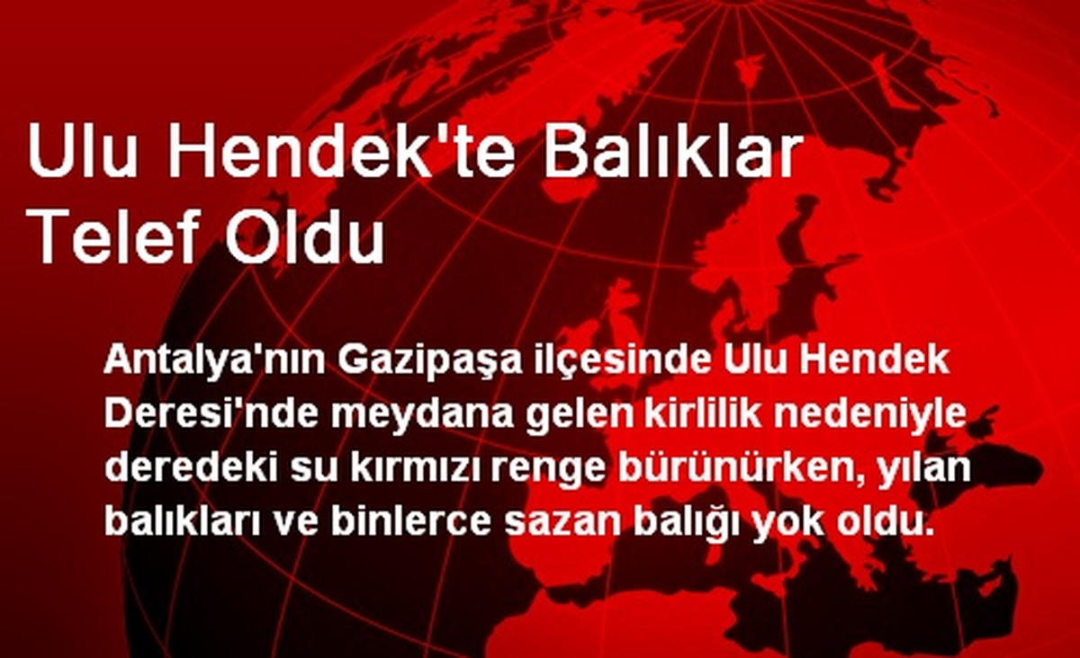 Ulu Hendek\'te Balıklar Telef Oldu