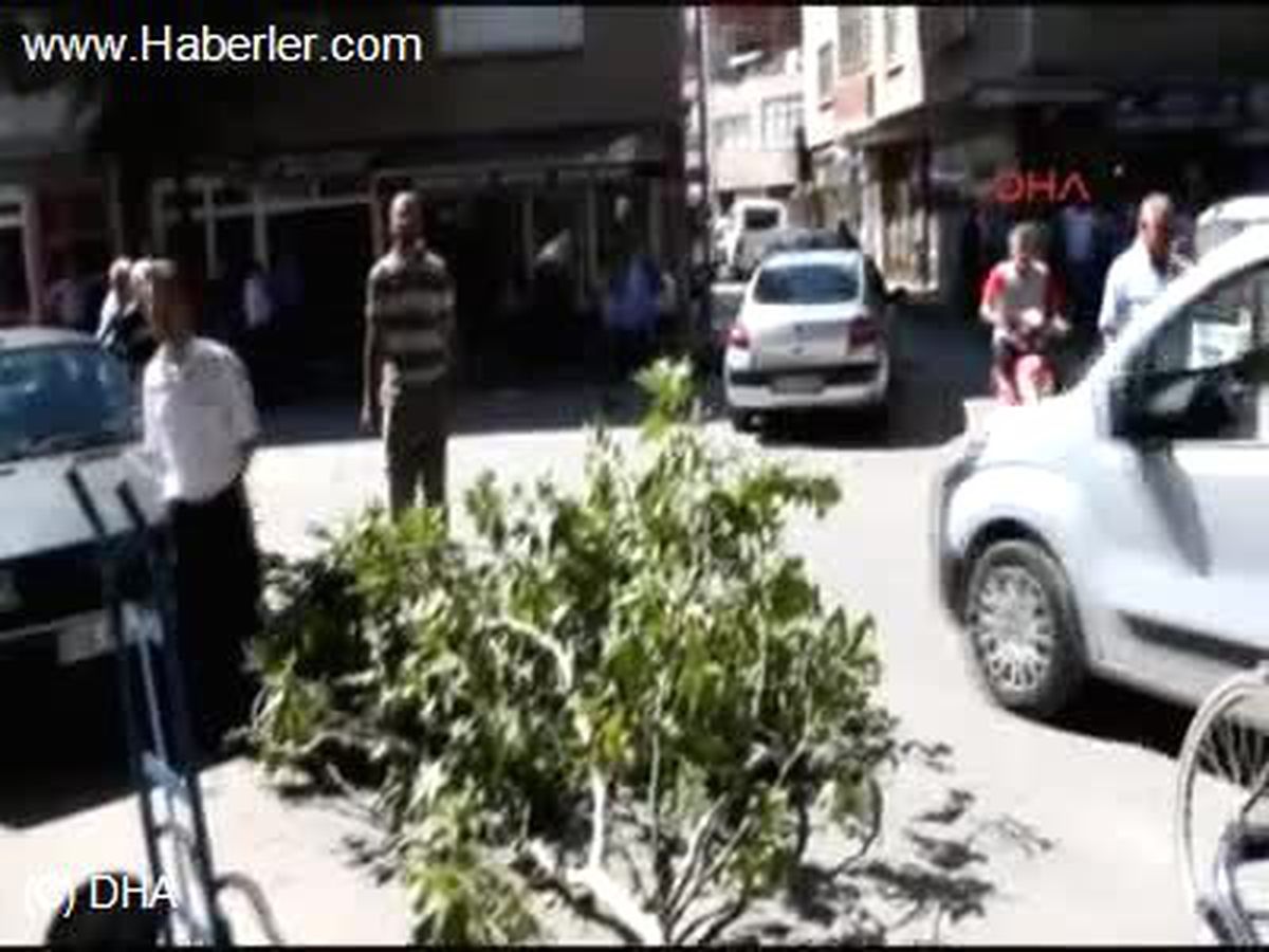 Üzerine Ağaç Dalı Düşen Adam Yaralandı