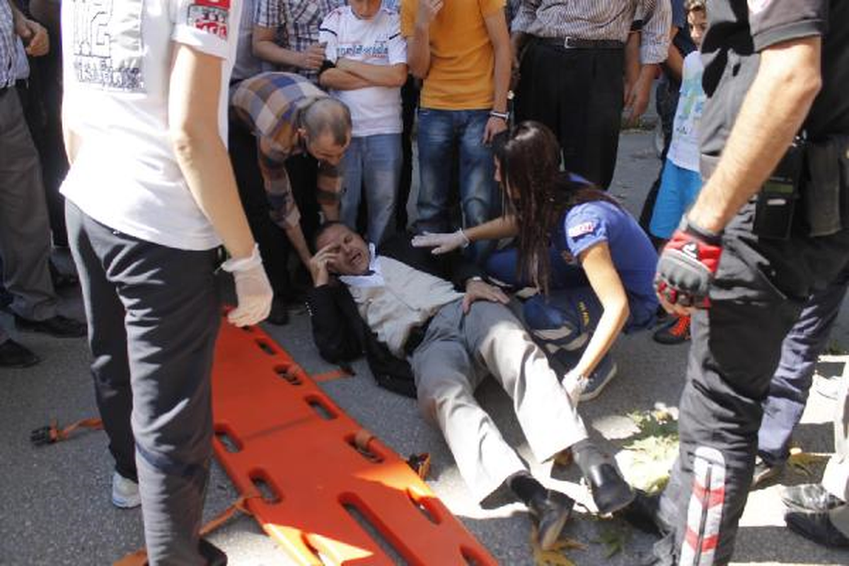 Üzerine Ağaç Dalı Düştü