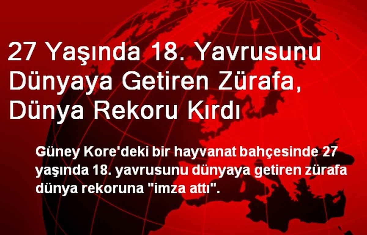 18. Yavrusunu Dünyaya Getiren Zürafa, Dünya Rekoru Kırdı