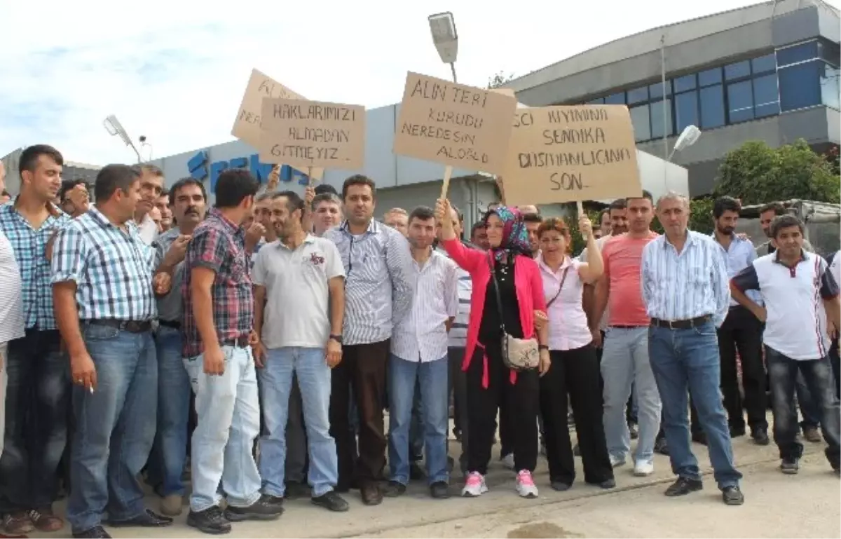 50 Yıllık Dev Üretimi Durdurdu, 420 Kişi İşsiz Kaldı