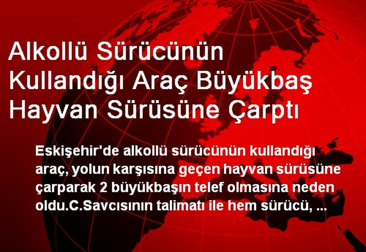Alkollü Sürücünün Kullandığı Araç Büyükbaş Hayvan Sürüsüne Çarptı