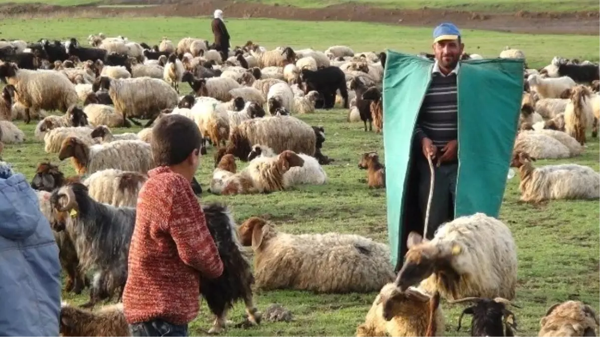 Göçerler Geri Dönüş Yolunda