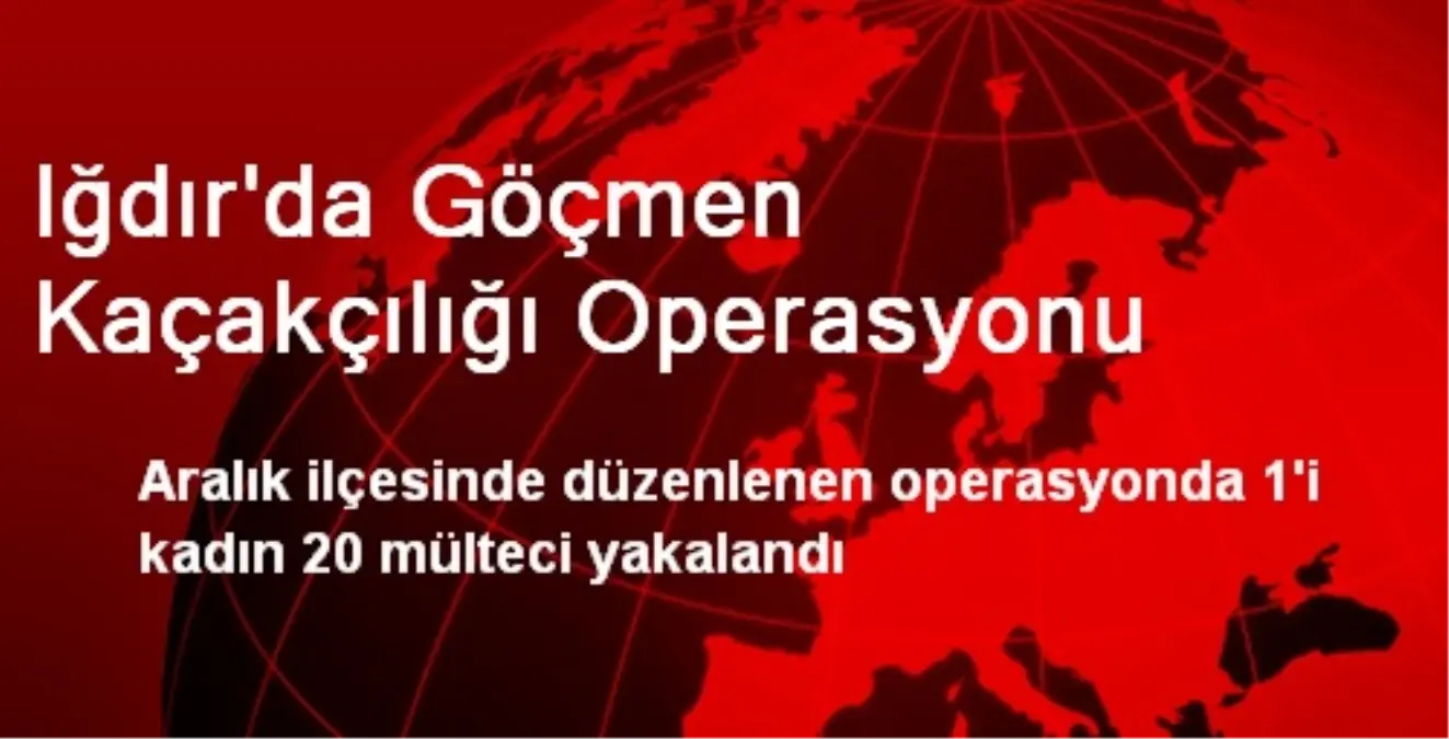 Iğdır\'da Göçmen Kaçakçılığı Operasyonu