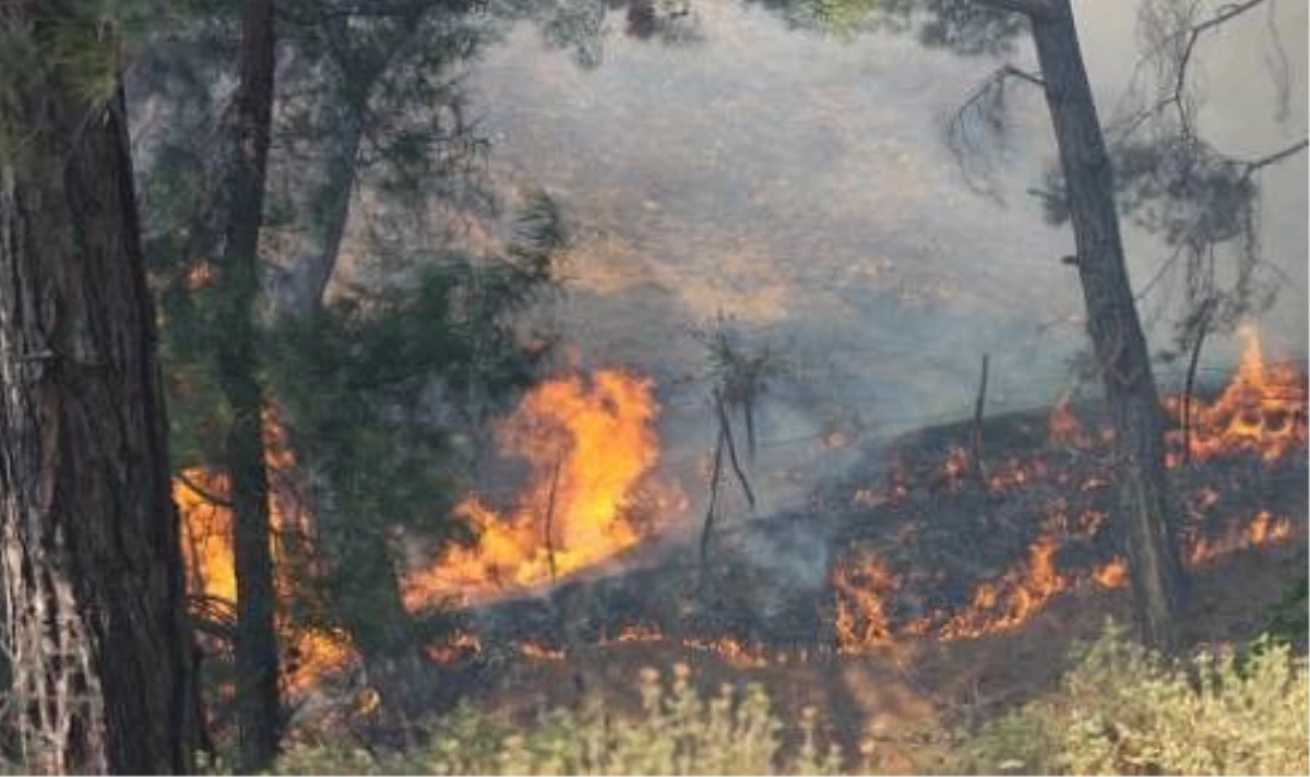 Kazdağları\'nda Orman Yangını