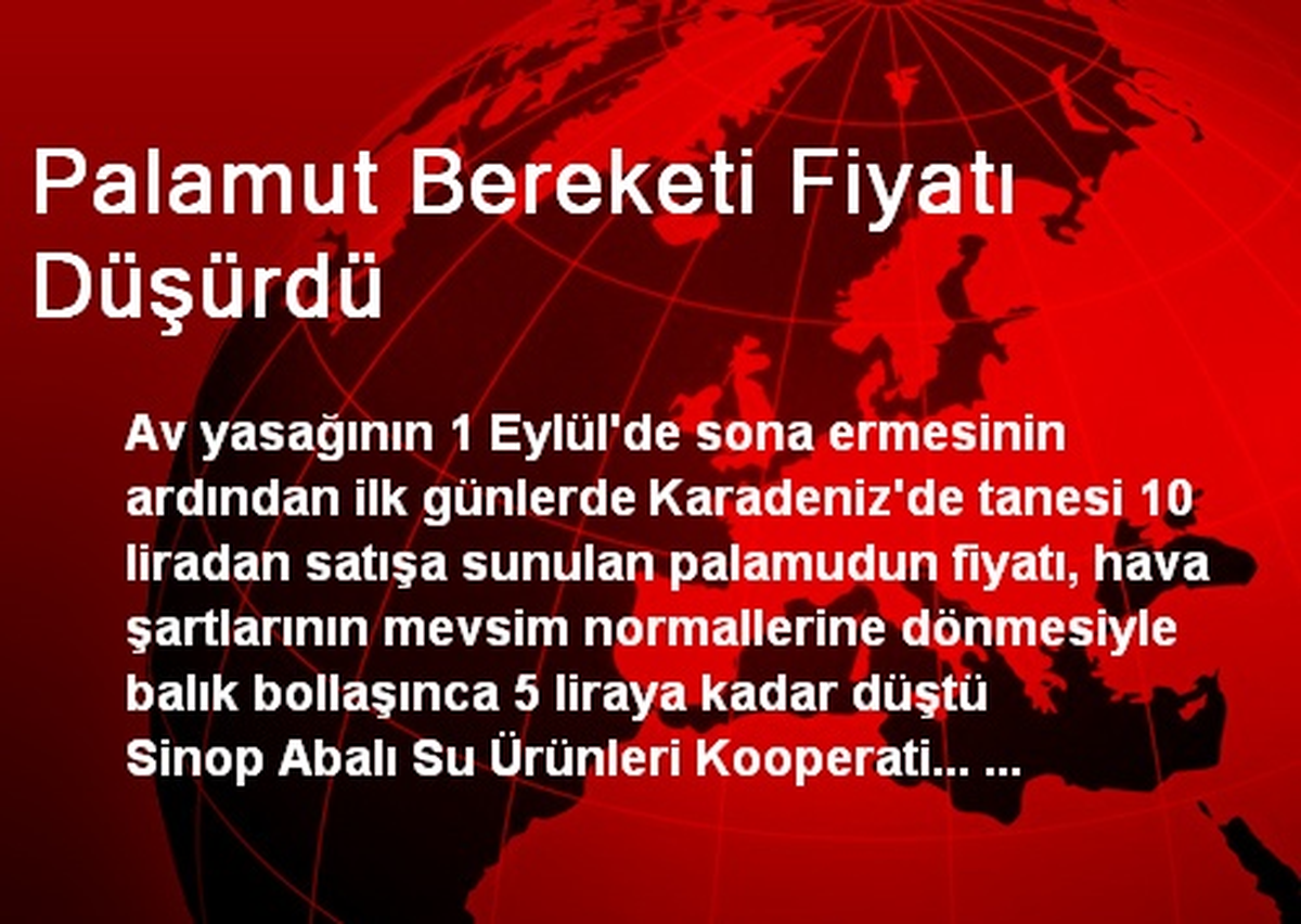Palamut Bereketi Fiyatı Düşürdü