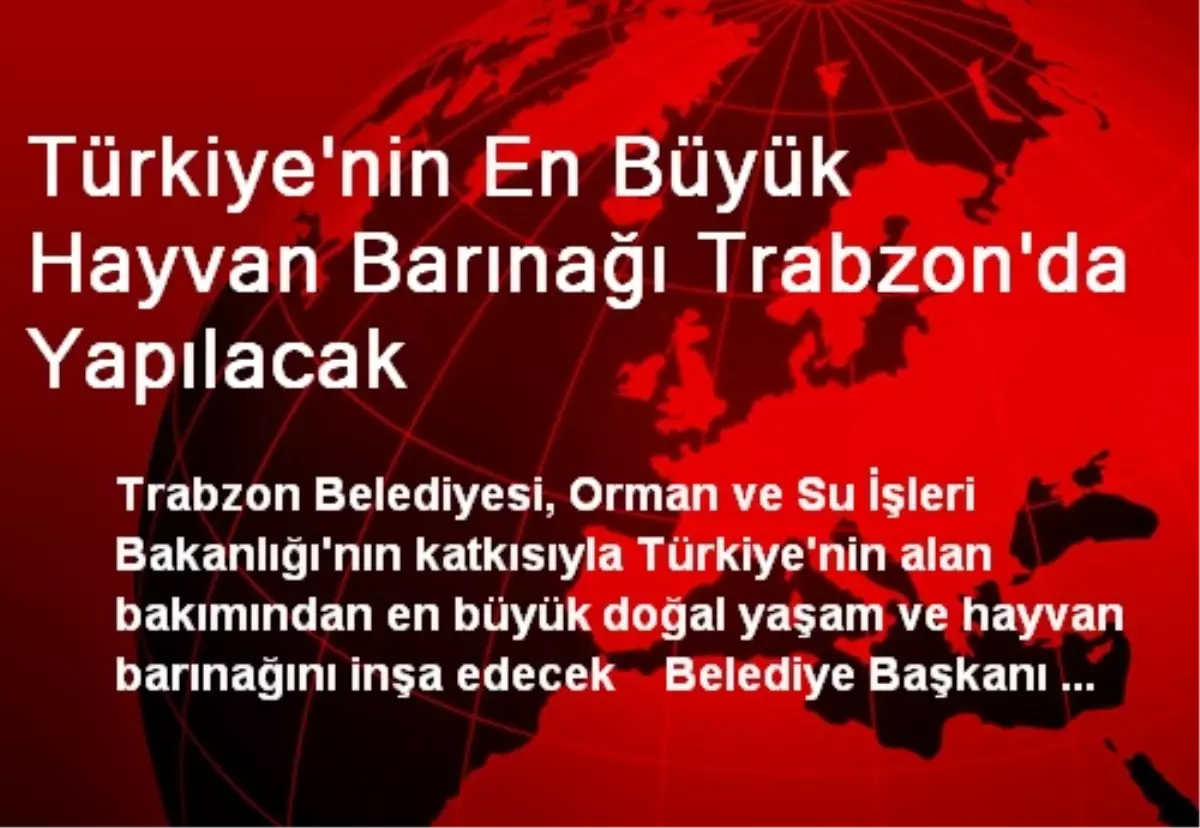 Türkiye\'nin En Büyük Hayvan Barınağı Trabzon\'da Yapılacak