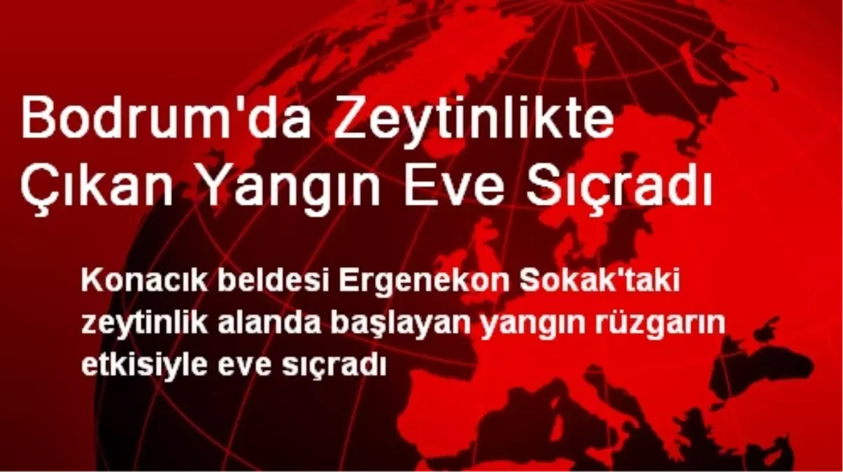 Bodrum\'da Zeytinlikte Çıkan Yangın Eve Sıçradı