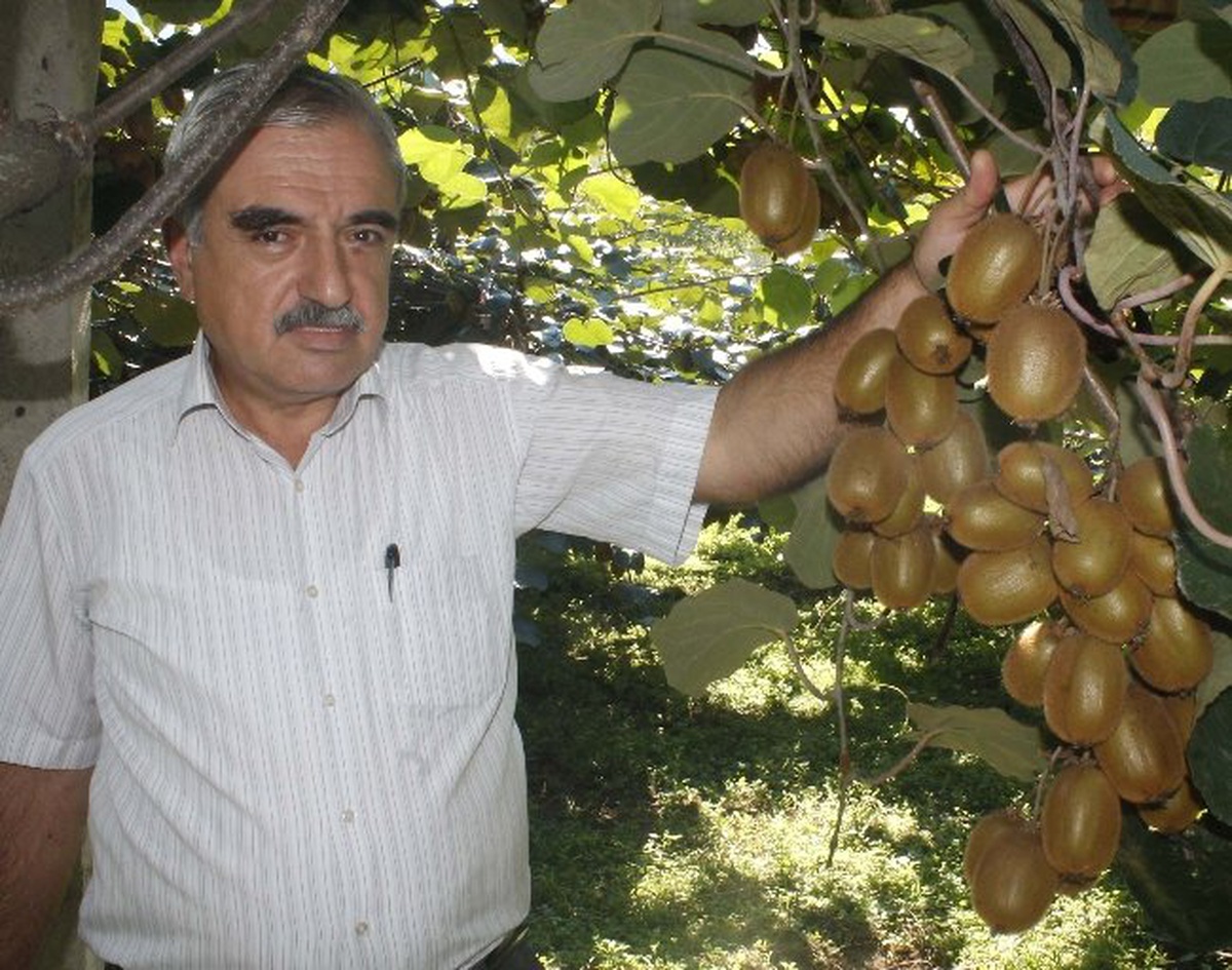 "Destek Verilirse, Türkiye\'nin Kivi İhtiyacını Karşılarız"