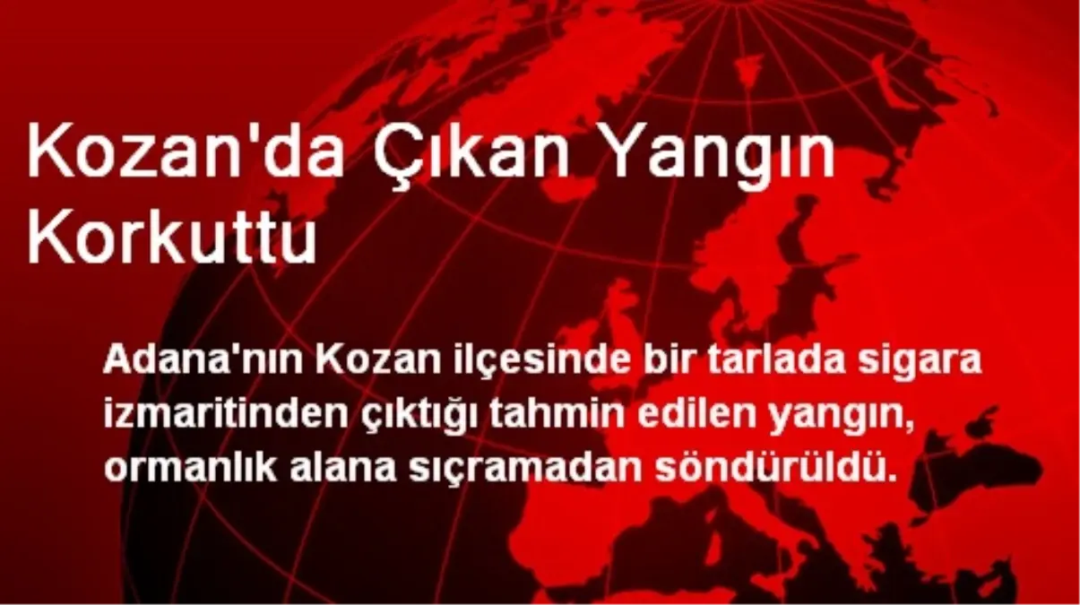 Kozan\'da Çıkan Yangın Korkuttu