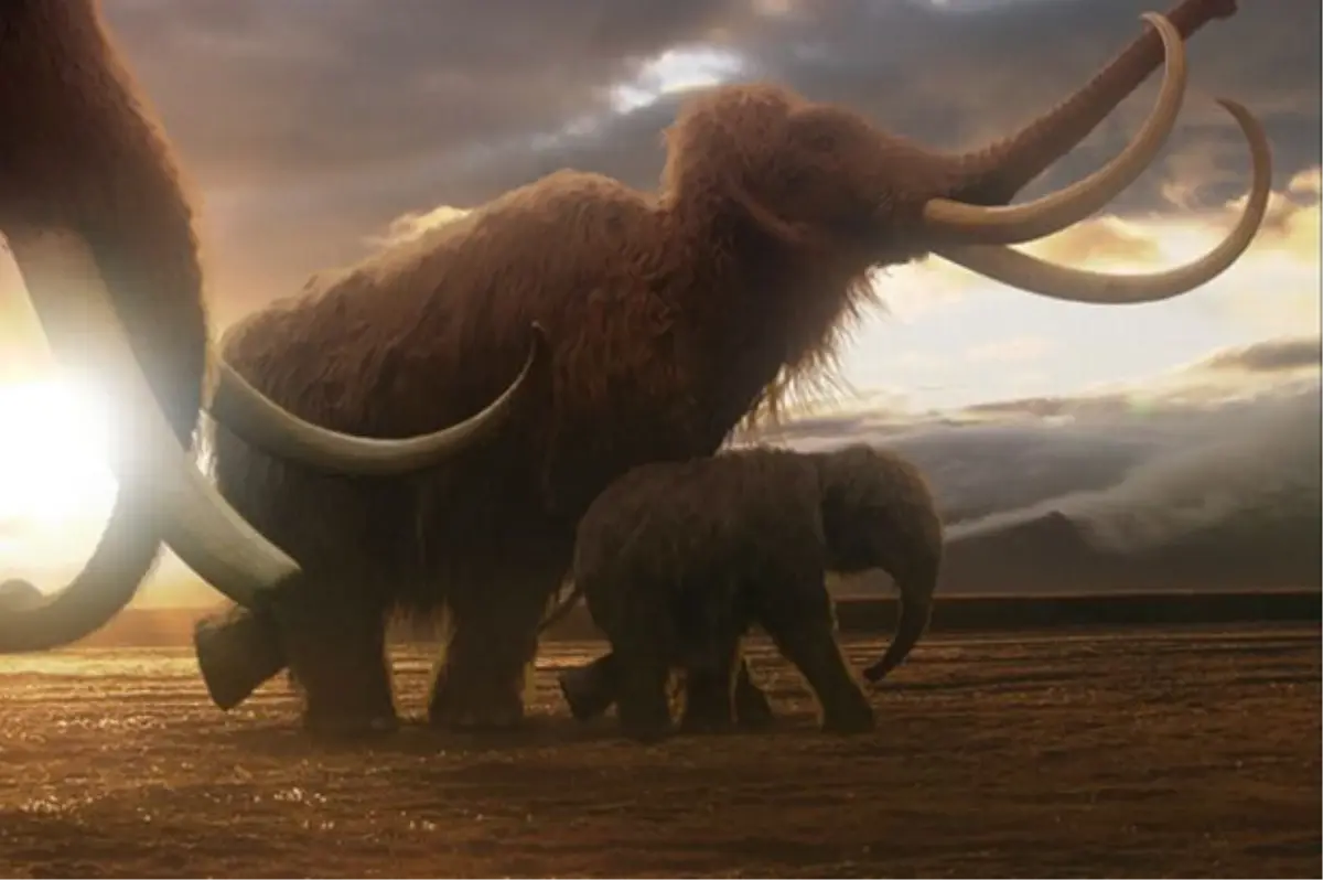 Mamutların Nesli İklim Değişikliğinden Dolayı Tükendi