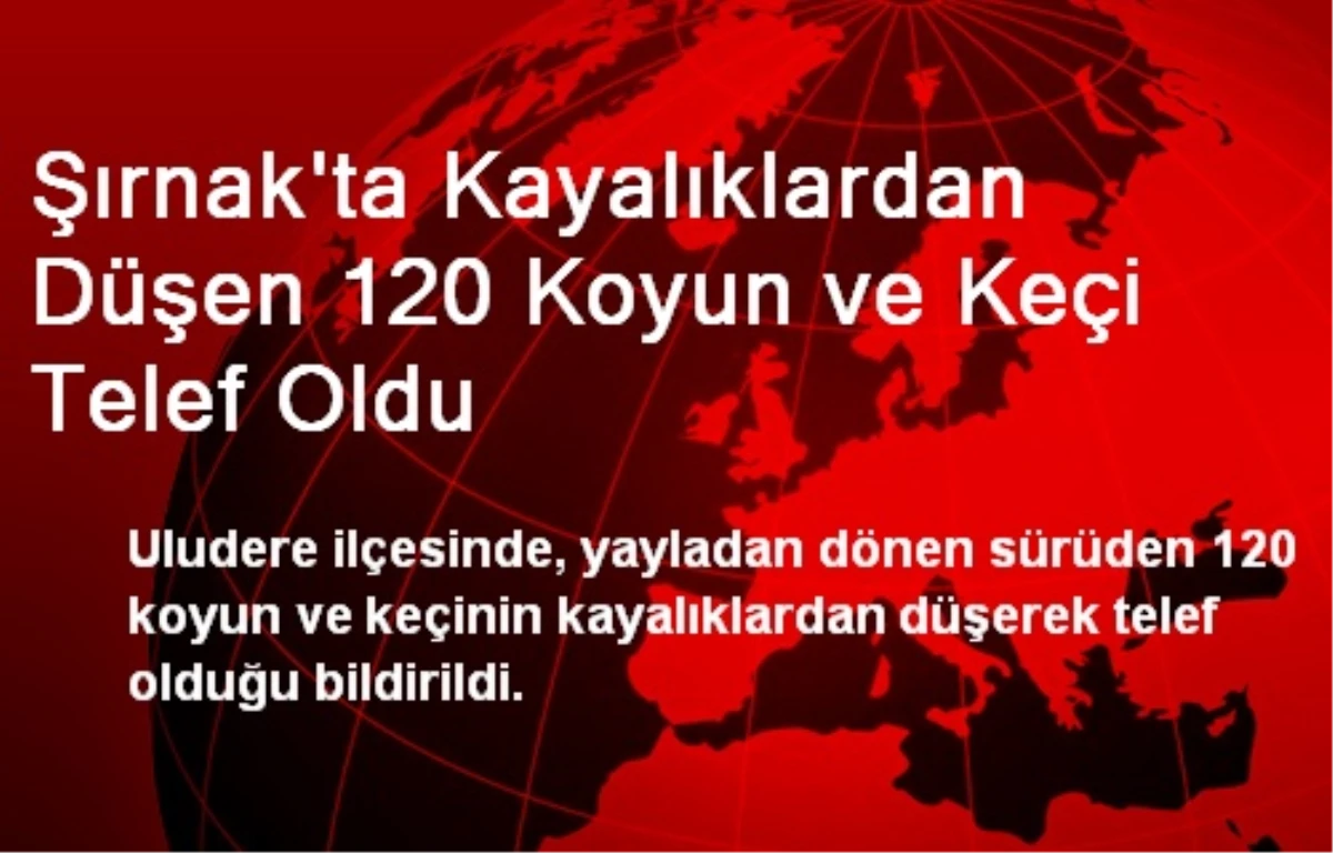 Şırnak\'ta Kayalıklardan Düşen 120 Koyun ve Keçi Telef Oldu