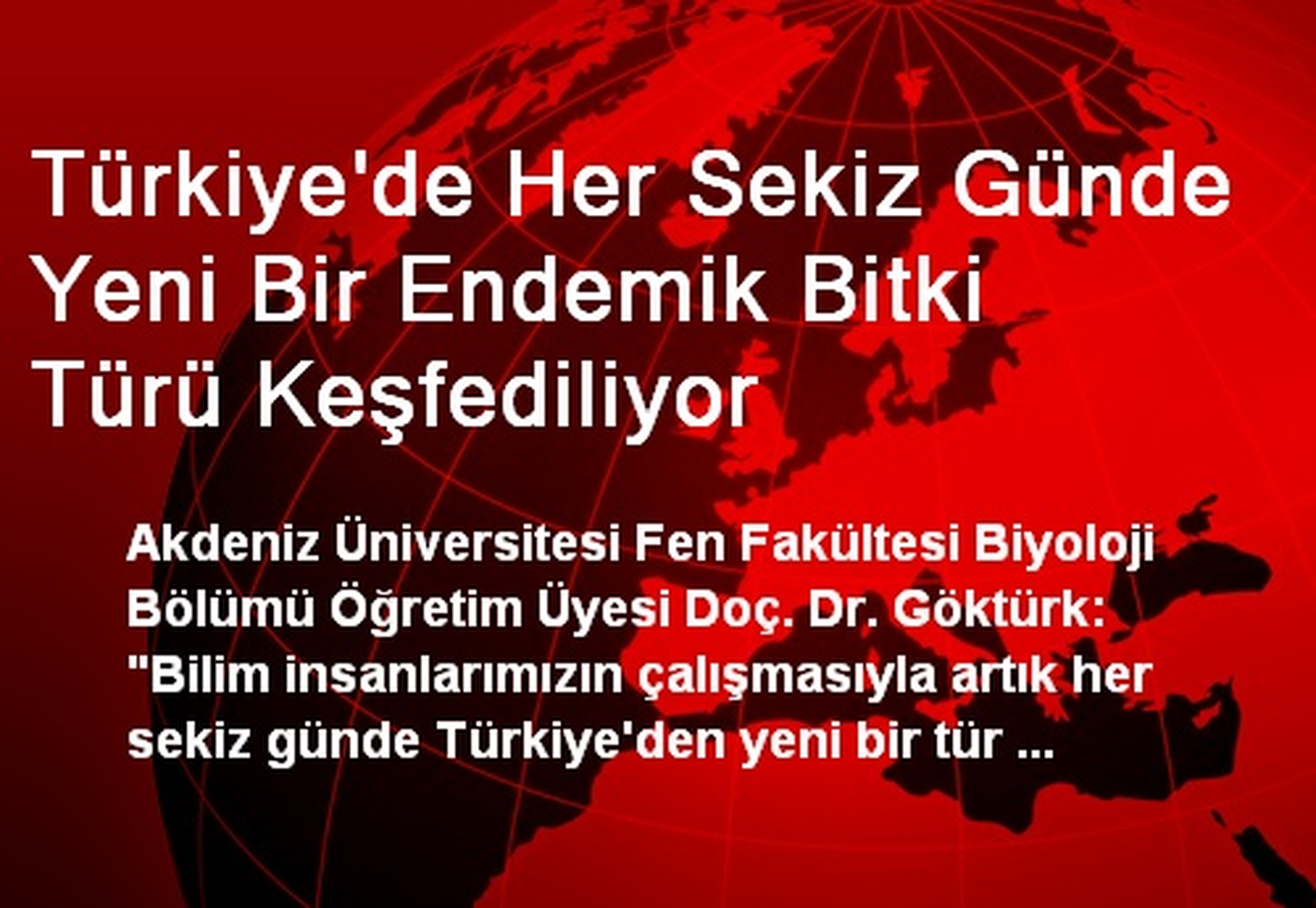 Türkiye\'de Her Sekiz Günde Yeni Bir Endemik Bitki Türü Keşfediliyor