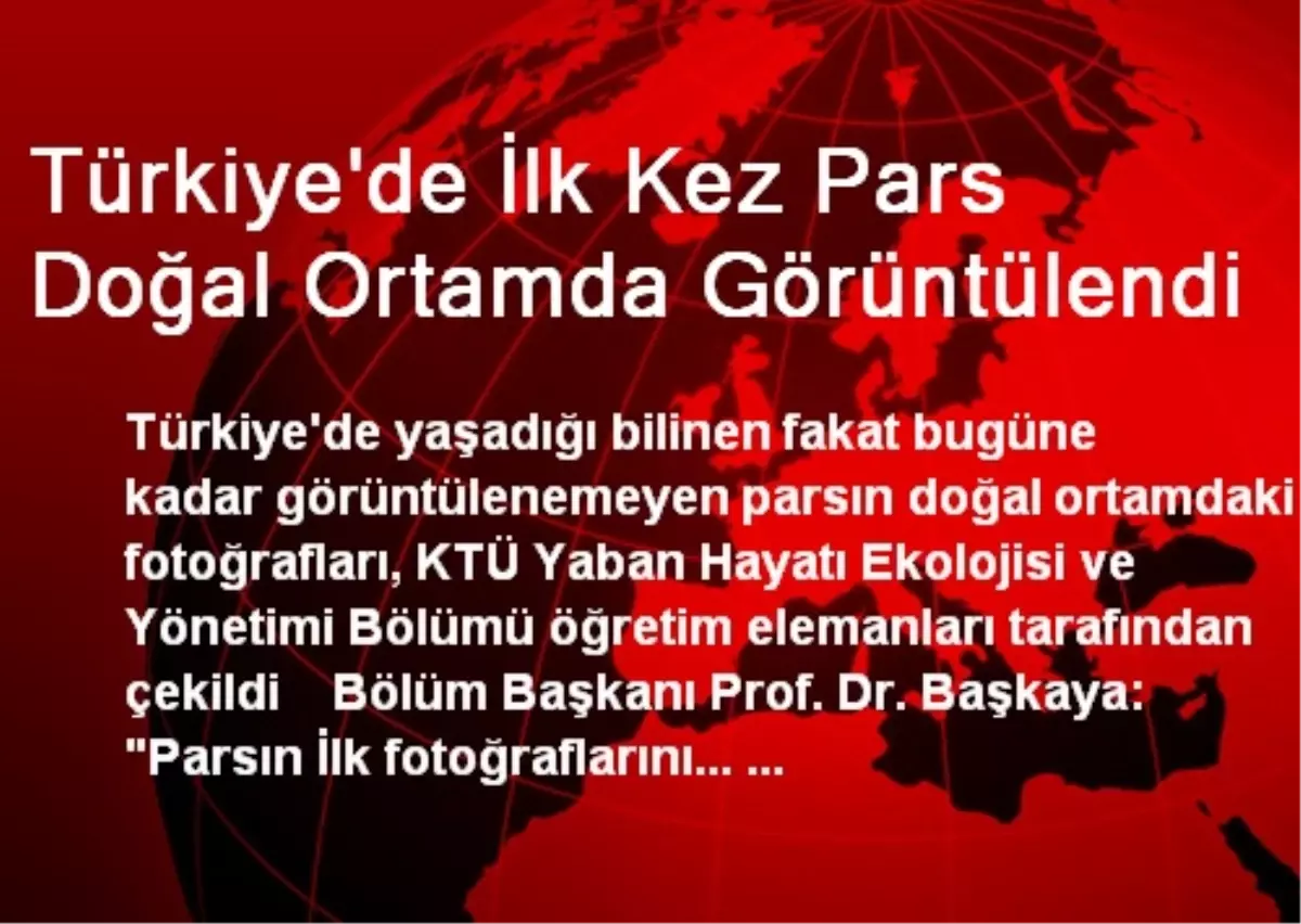 Türkiye\'de İlk Kez Pars Doğal Ortamda Görüntülendi