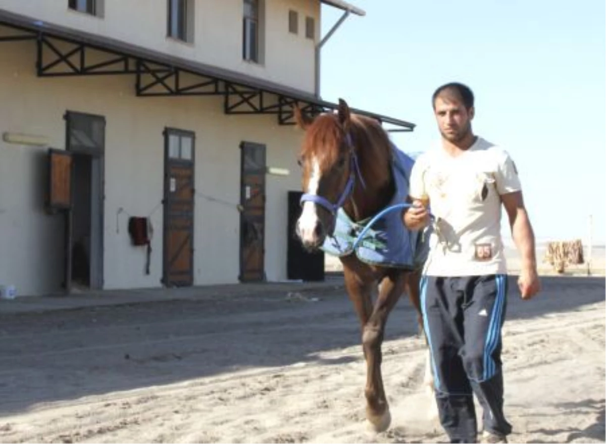 Türkiye\'nin en büyük hipodromunda at yarışı heyecanı başlıyor DİYARBAKIR