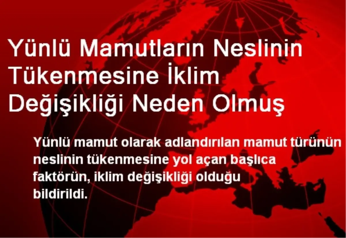 Yünlü Mamutların Neslinin Tükenmesine İklim Değişikliği Neden Olmuş