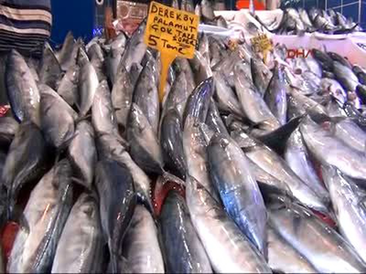 Balık Bollaştı, Fiyatlar İnişe Geçti