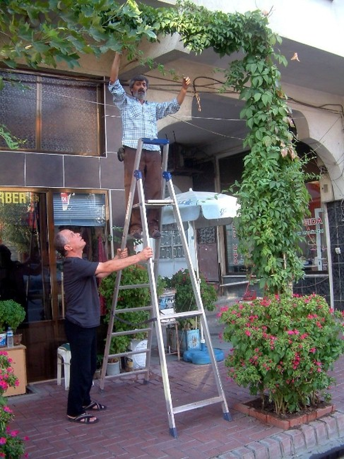 Burhaniyeli Esnafların Yeşil Tutkusu
