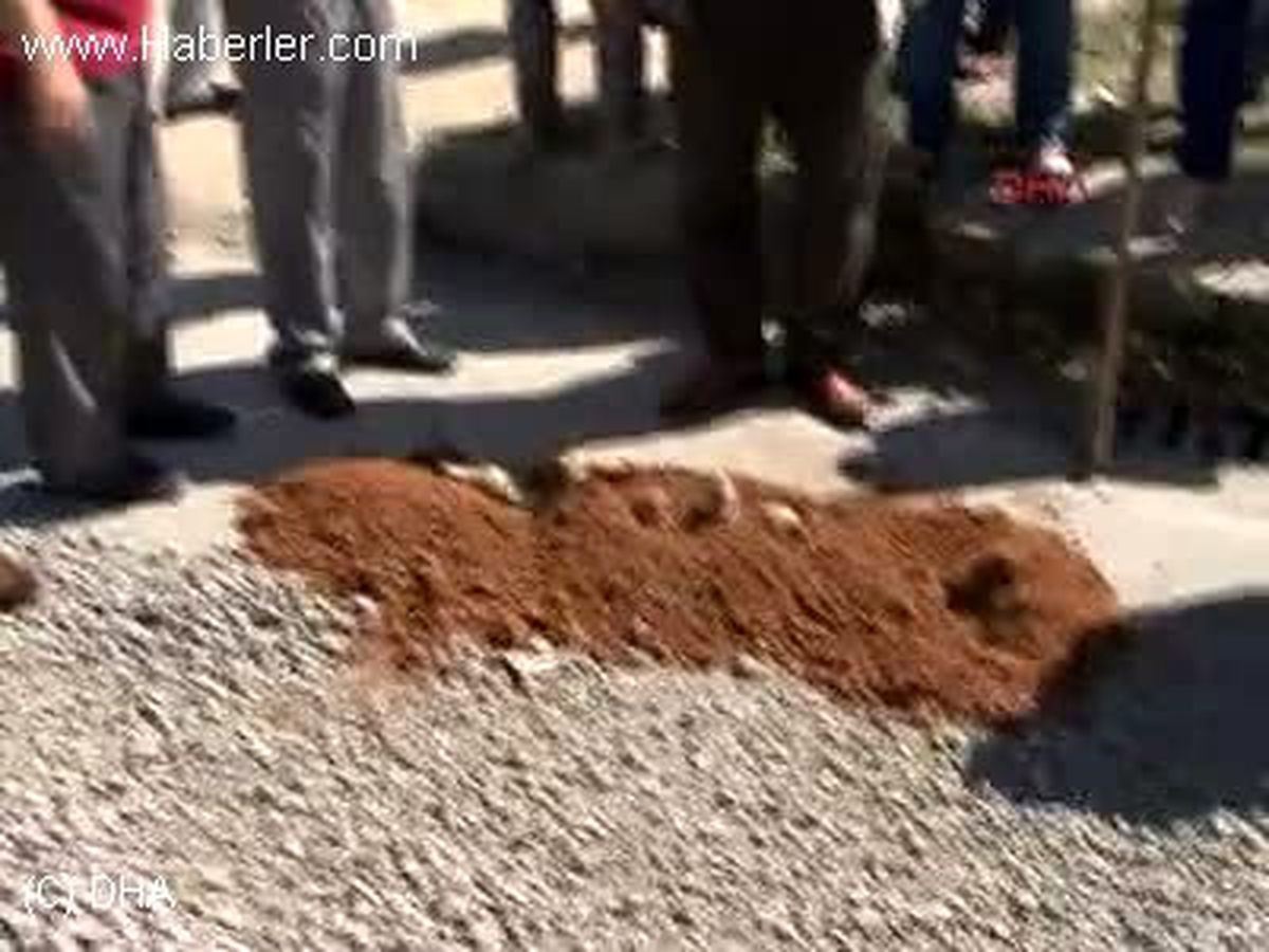 CHP\'liler, Onarılmayan Yola Patates Ekti