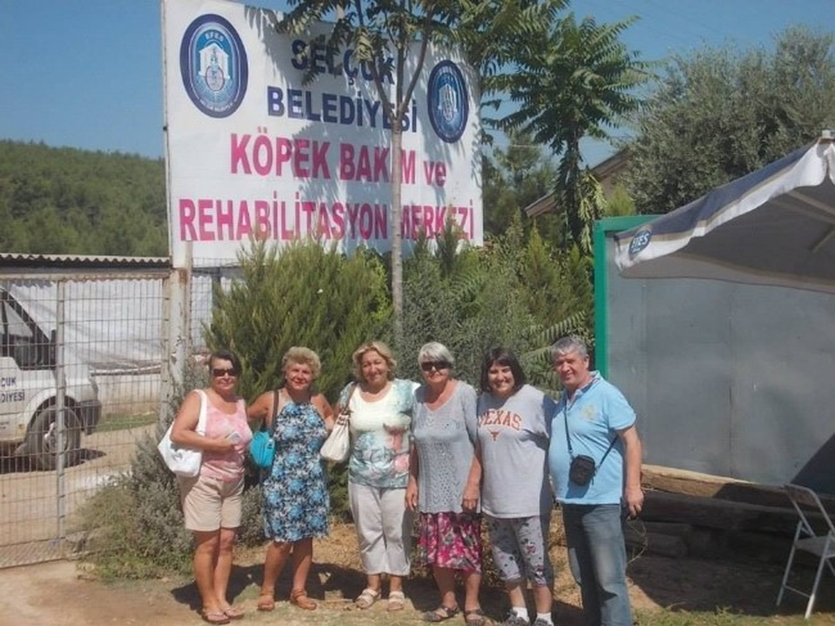 Haytap Barınağa Hayran Kaldı