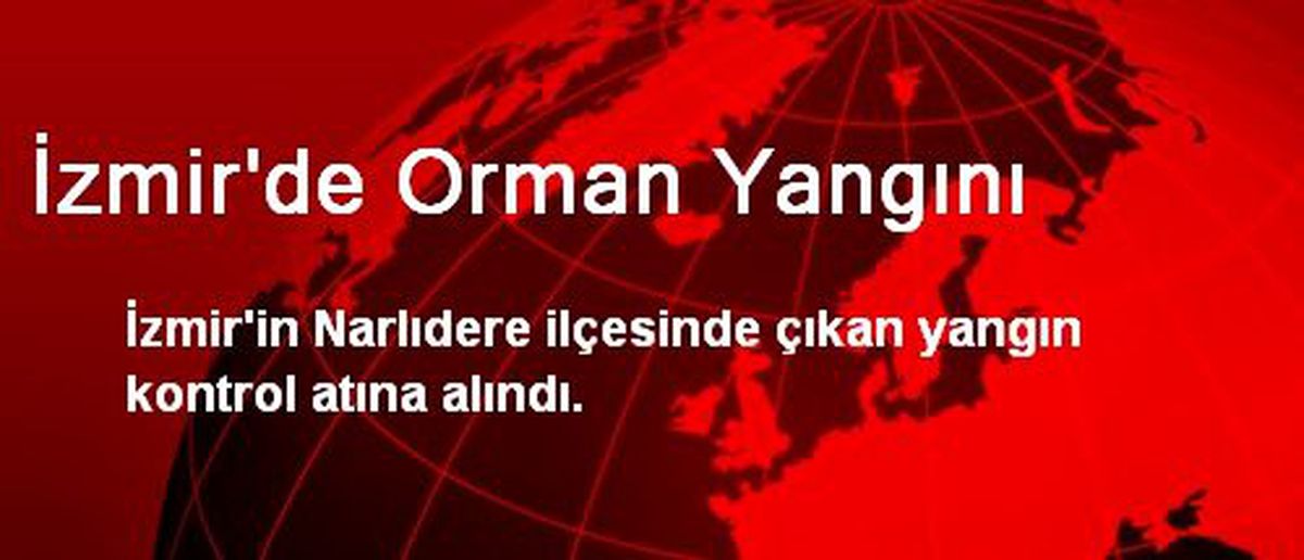 İzmir\'de Orman Yangını
