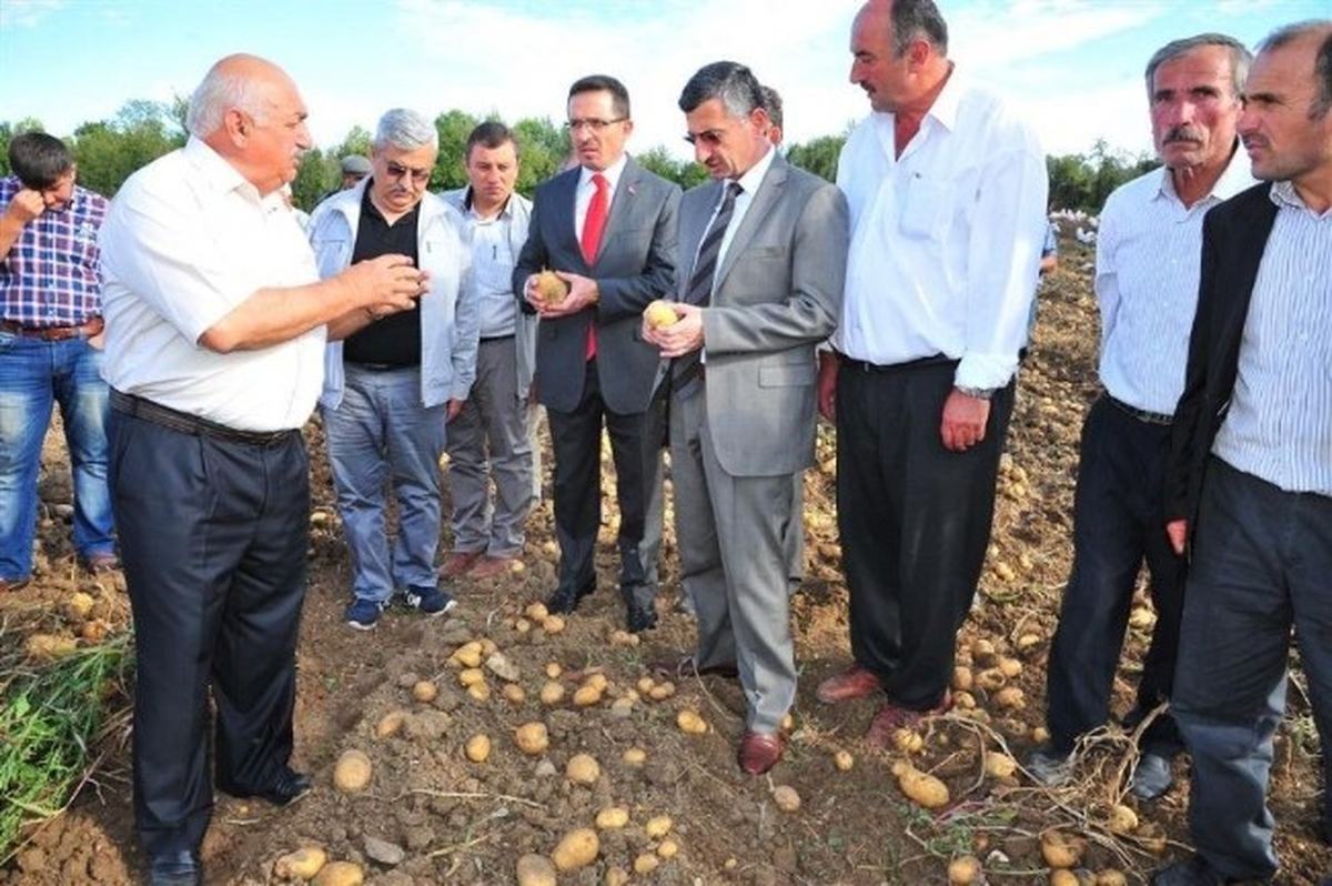 Kastamonu\'da Patates Tarla Günü Düzenlendi
