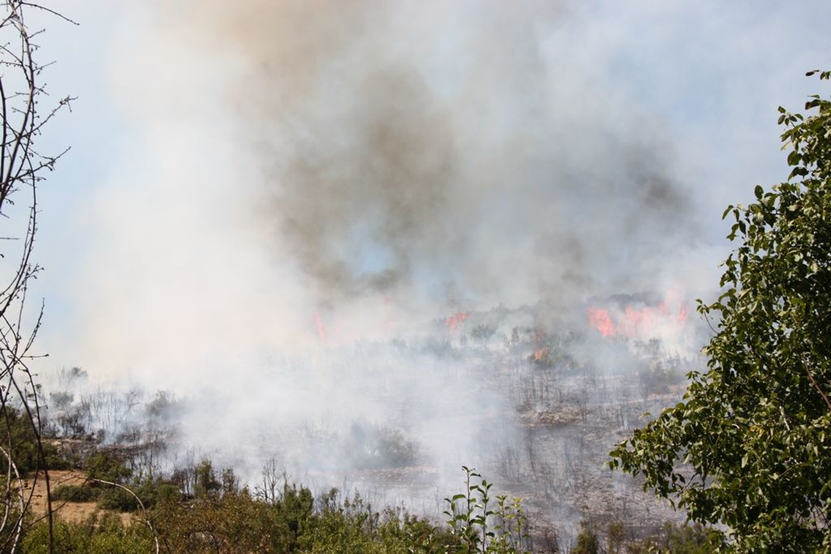 Kozan Kalesi Çevresindeki Makilik Alanda Yangın