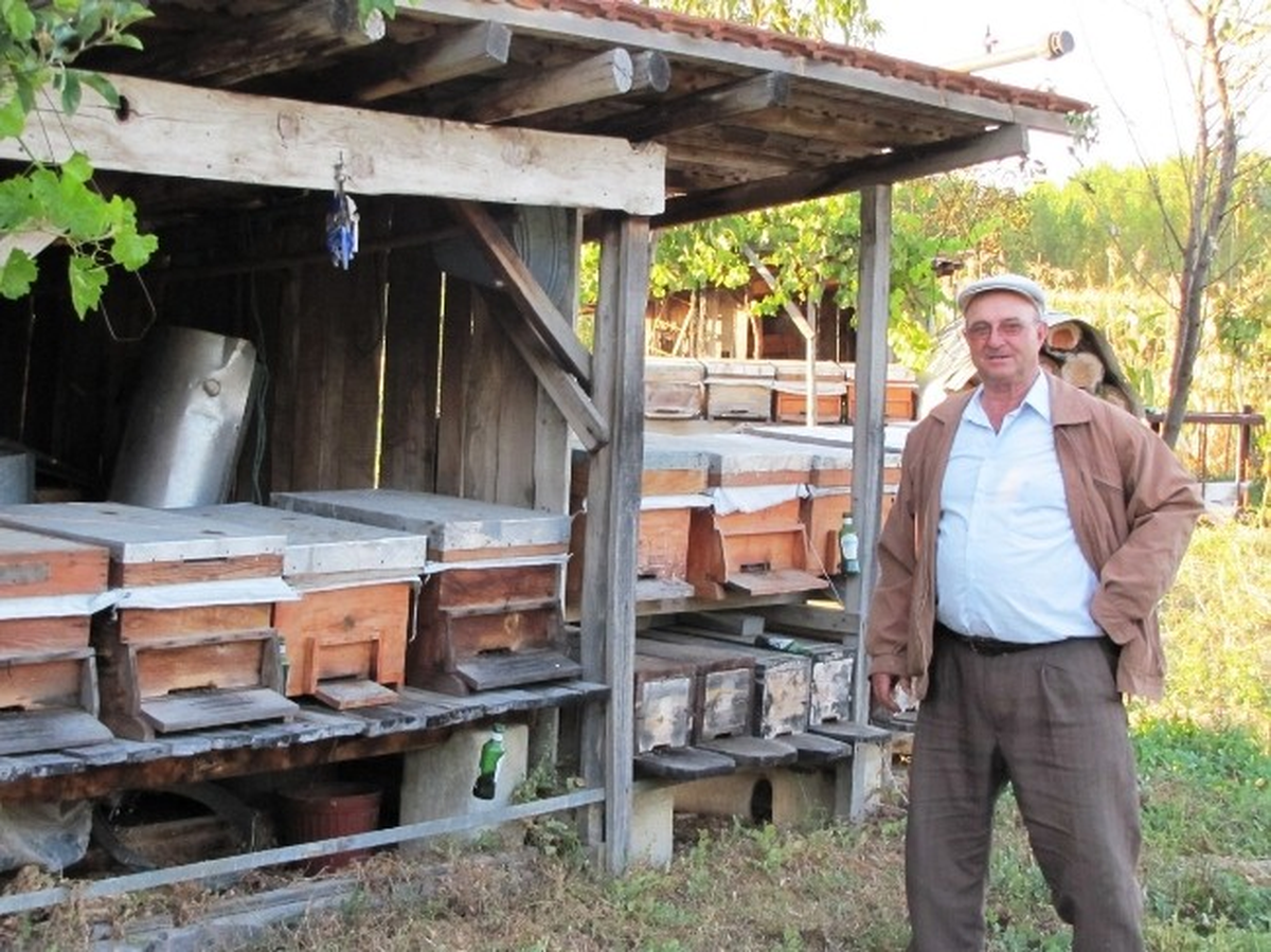 Kuraklık Bal Verimini Düşürdü