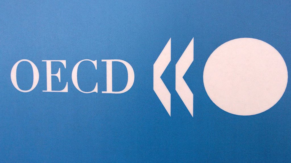 Oecd Açıkladı: Türkiye İkinci Çeyrekte G20 ve Dünya Büyüme Şampiyonu!
