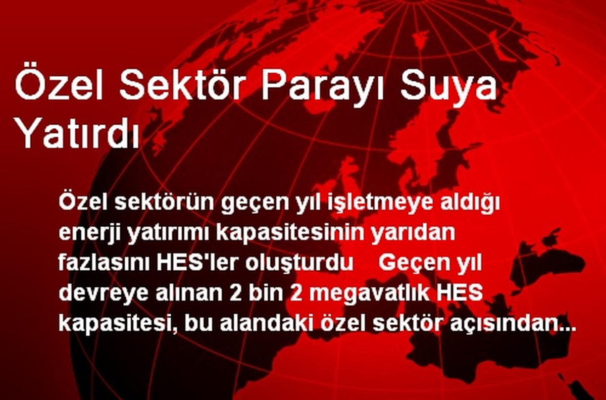 Özel Sektör Parayı Suya Yatırdı