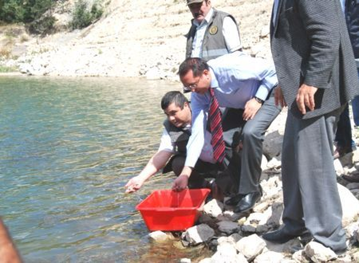 Zinav Gölü\'ne 30 Bin Balık Bırakıldı