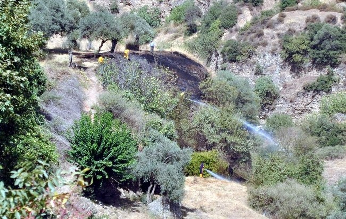 Aydın\'da Arazi Yangını