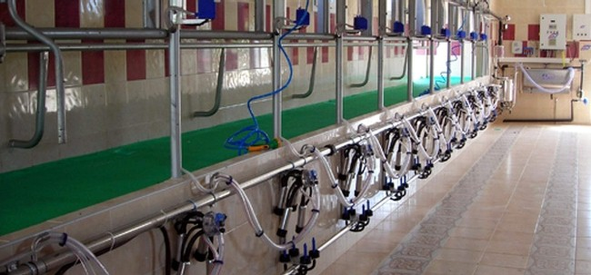 Aydın\'da Makine Ekipman Desteği Kazanan Yatırımcılarla Hibe Sözleşmeleri İmzalandı