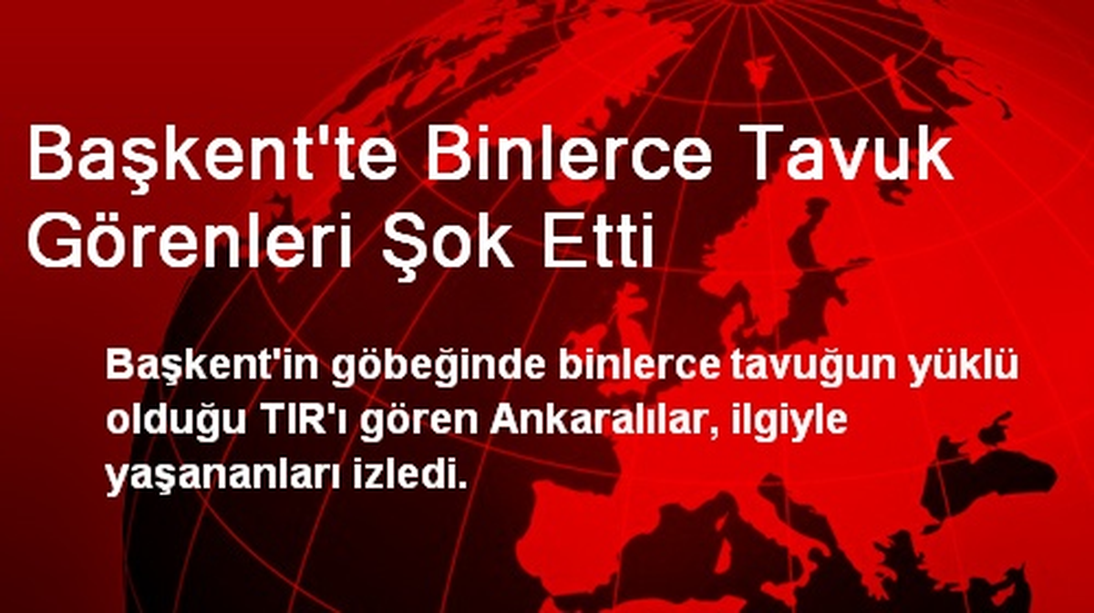 Başkent\'te Binlerce Tavuk Görenleri Şok Etti