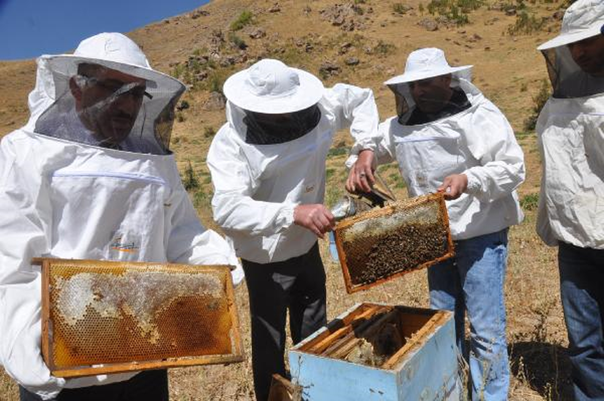 Hakkari Gıda,Tarım ve Hayvancılık Müdürü Kovanları Denetledi