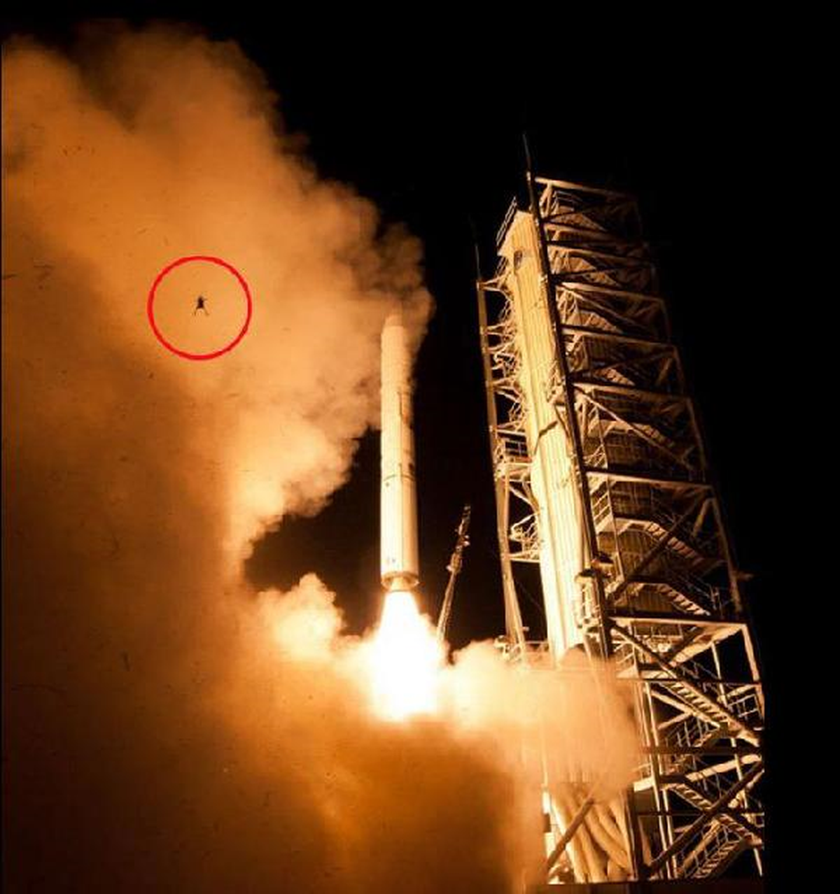 Dünya, NASA\'nın Kamerasına Yakalanan Kurbağayı Konuşuyor