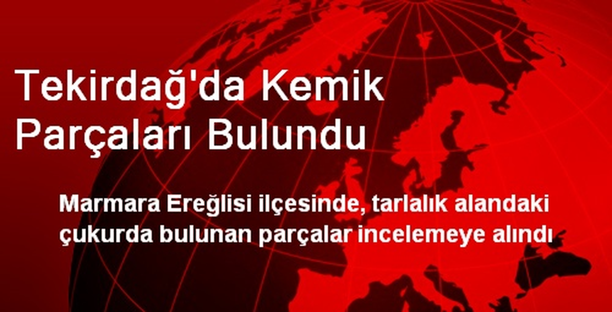Tekirdağ\'da Kemik Parçaları Bulundu