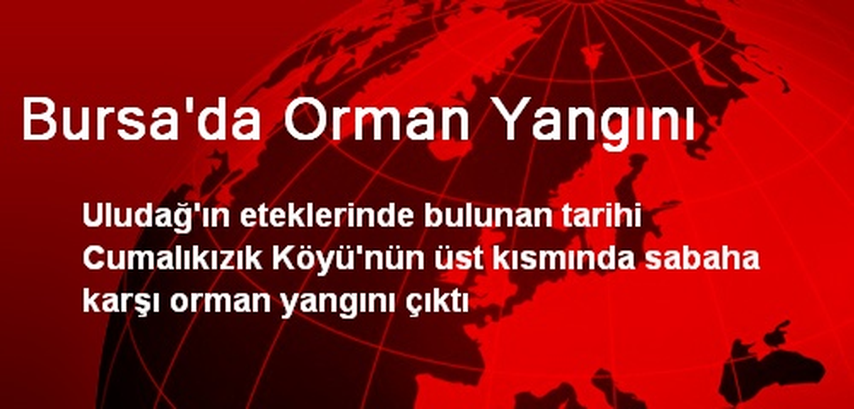 Yaralı Porsuk, Doğal Yaşam Parkı\'nda Sağlığına Kavuştu