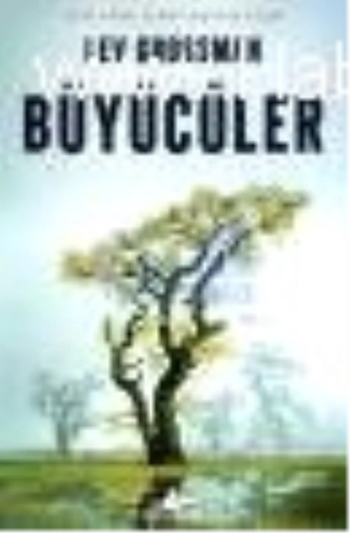 Büyücüler Kitabı