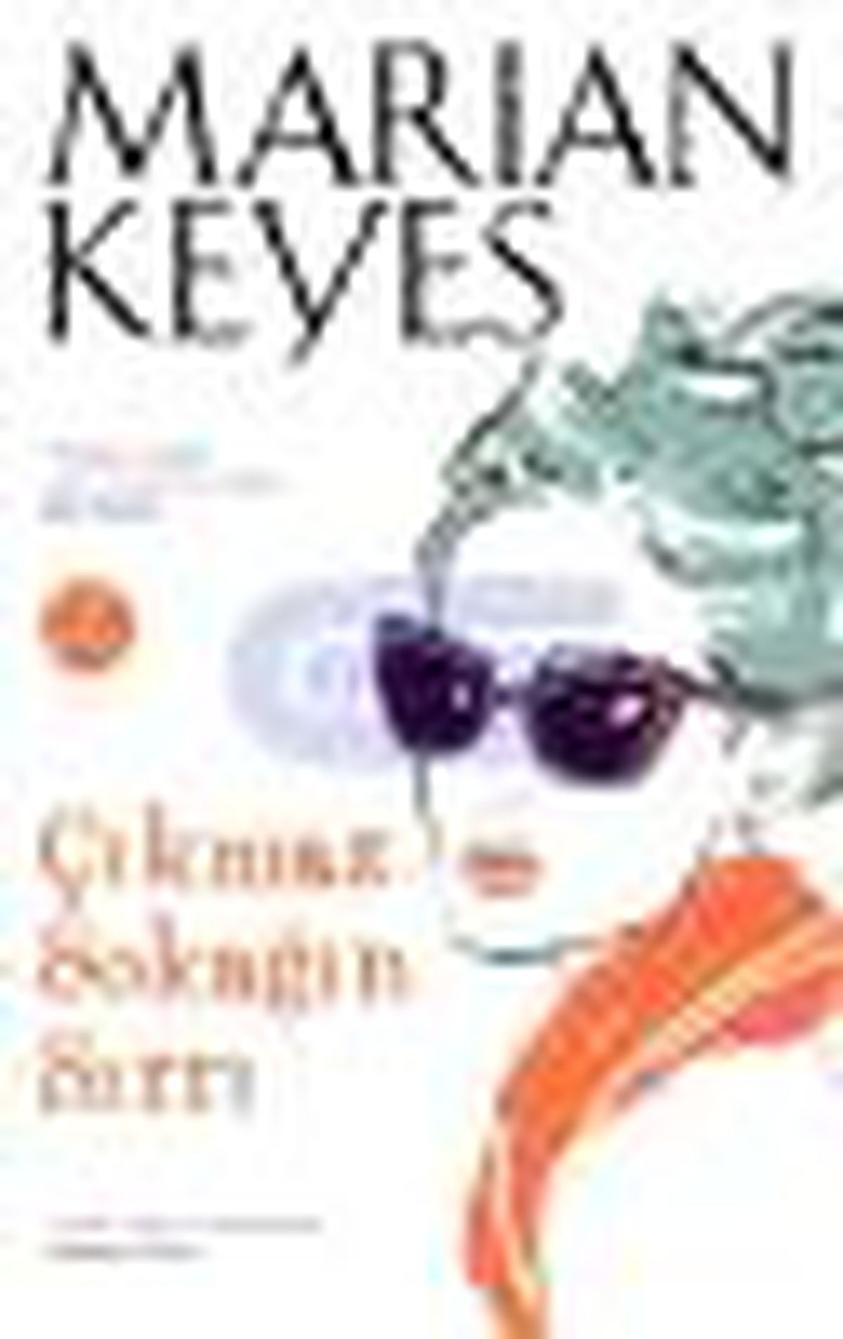 Çıkmaz Sokağın Sırrı Kitabı
