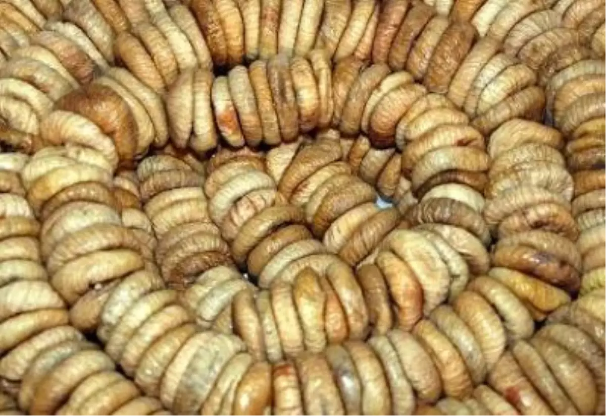 Çinli İnciri Yemeğe Koydu, İhracat Patladı