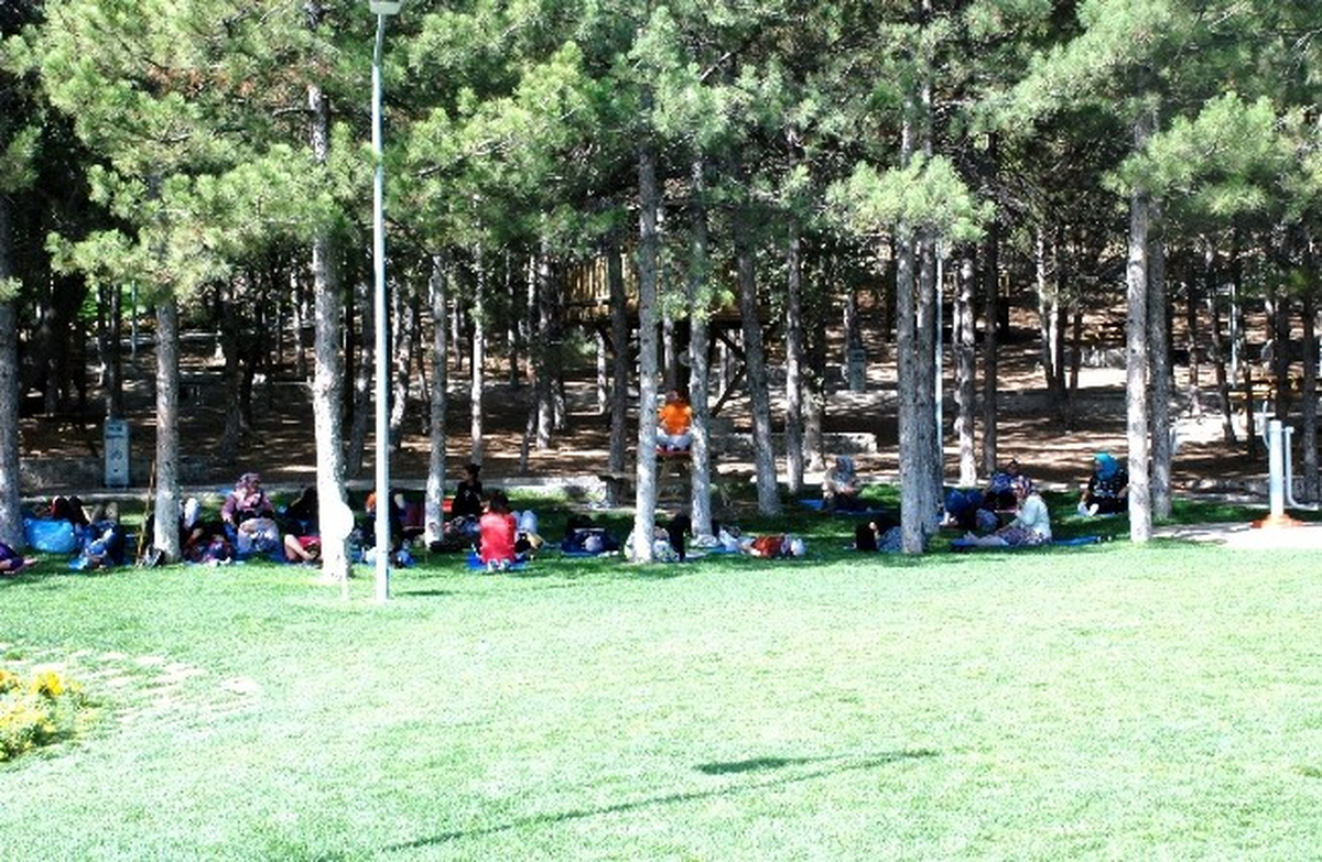 Gediz\'de \'Sağlıklı Yaşam, Sağlıklı Gediz\' Projesi
