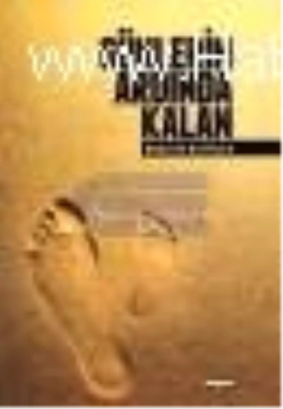 Günlerin Ardında Kalan Kitabı